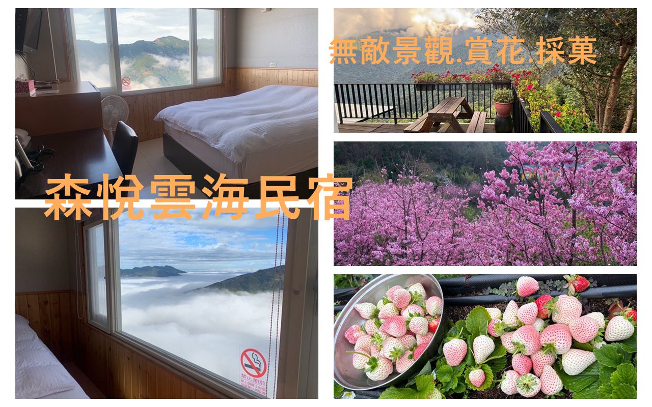 森悅雲海民宿
